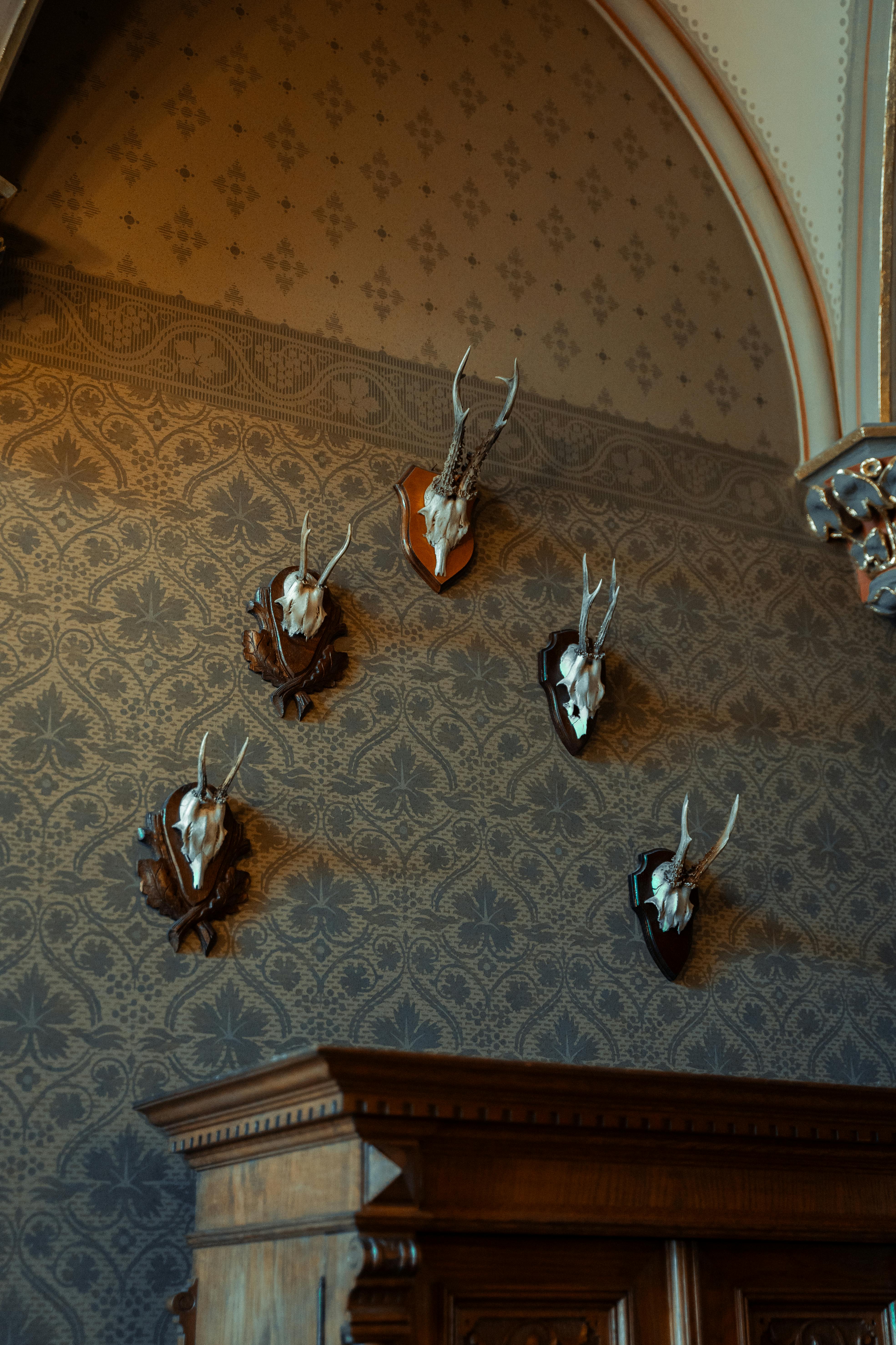 Trophäenvearbeitung