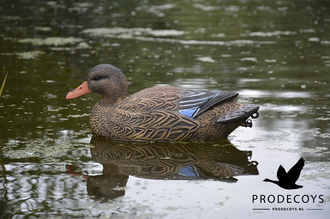 Realistische Vollkörper Schwimmenten Lockvögel Set 6 Stück für Entenjagd 41cm