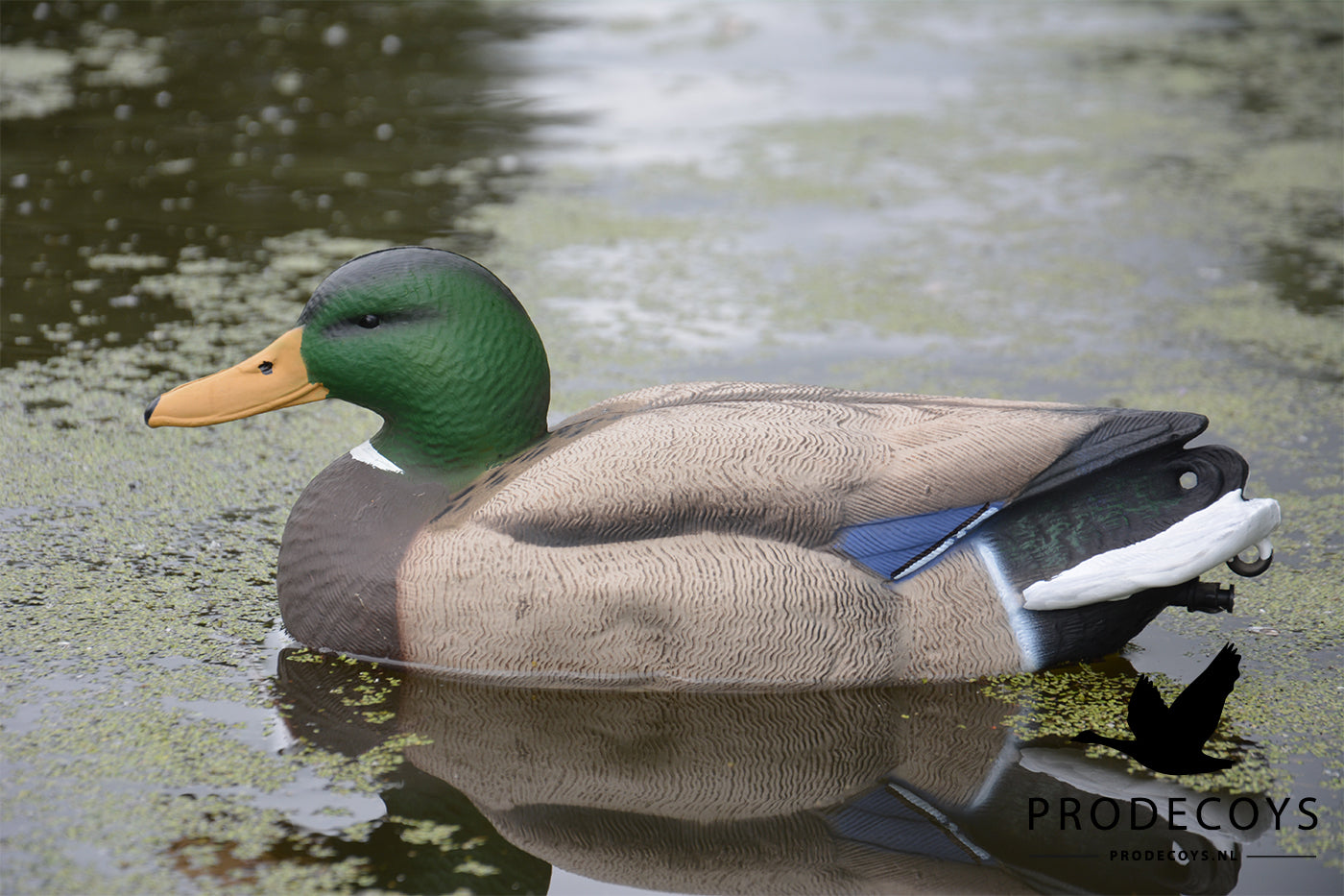 Realistische Vollkörper Schwimmenten Lockvögel Set 6 Stück für Entenjagd 41cm