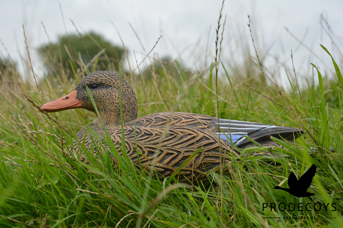 Realistische Vollkörper Schwimmenten Lockvögel Set 6 Stück für Entenjagd 41cm