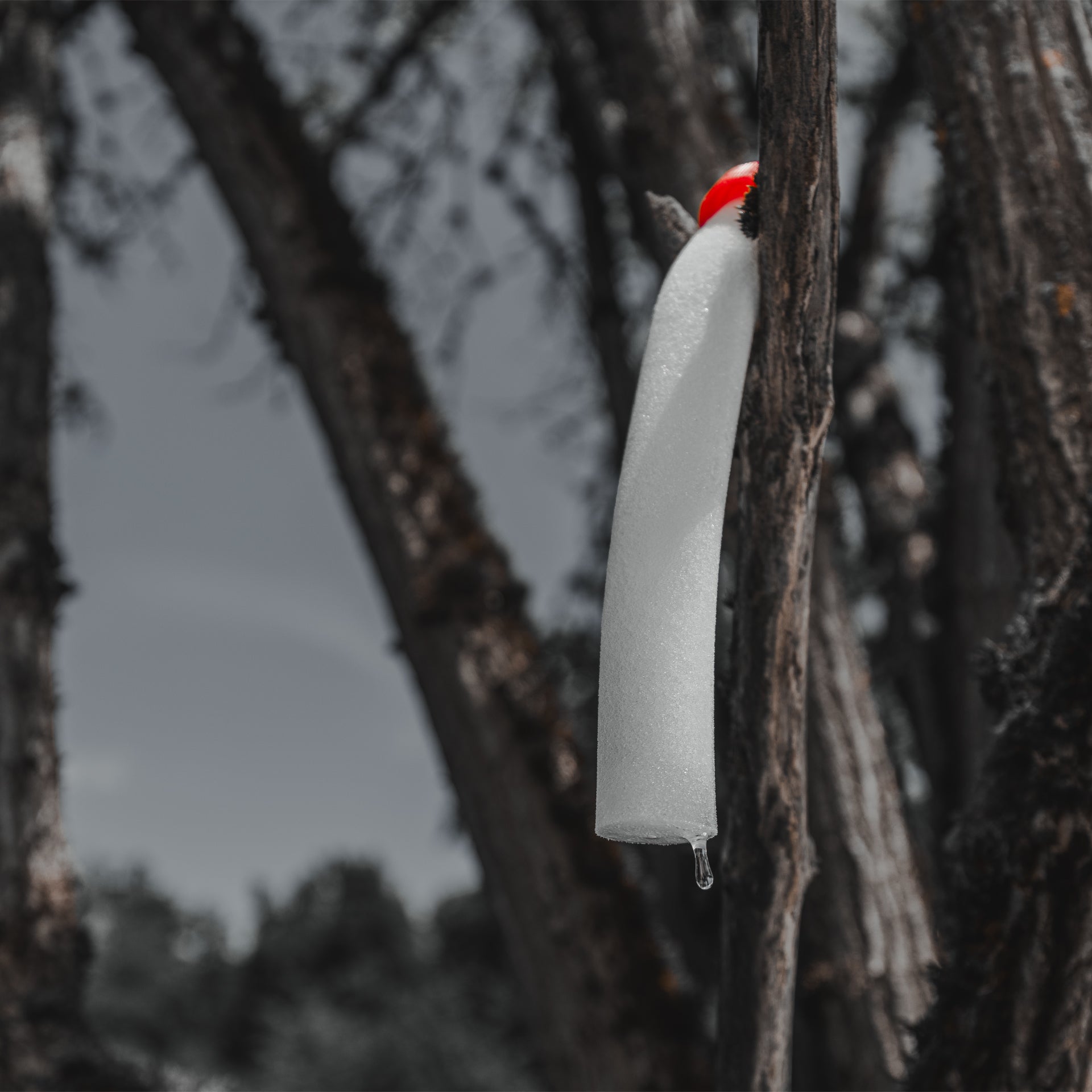 Black Fire Predator Lockmittel Set 3x80g Starke Lockstoffe für Raubwild