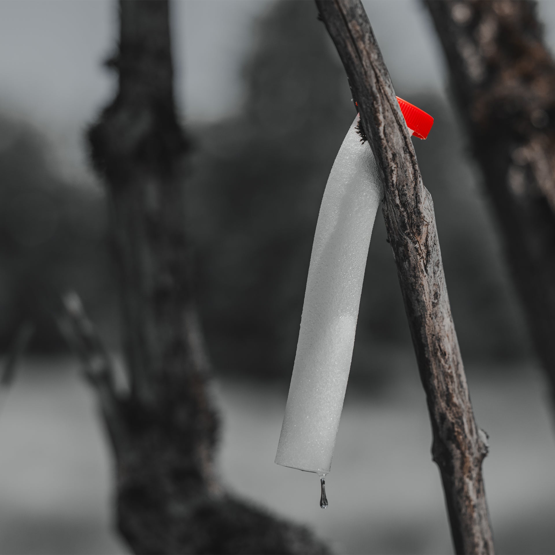 Black Fire Predator Lockmittel Set 3x80g Starke Lockstoffe für Raubwild