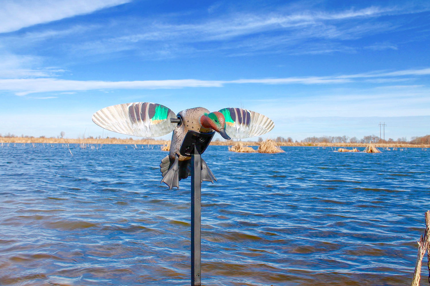 MOJO ES Green Wing Teal Realistische Lockente mit rotierenden Magnetflügeln