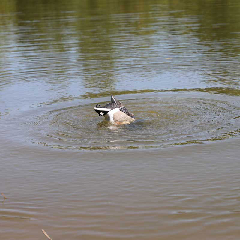 MOJO Mallard Machine UN3481 Hochwertiger Entenlocker für die erfolgreiche Lockjagd