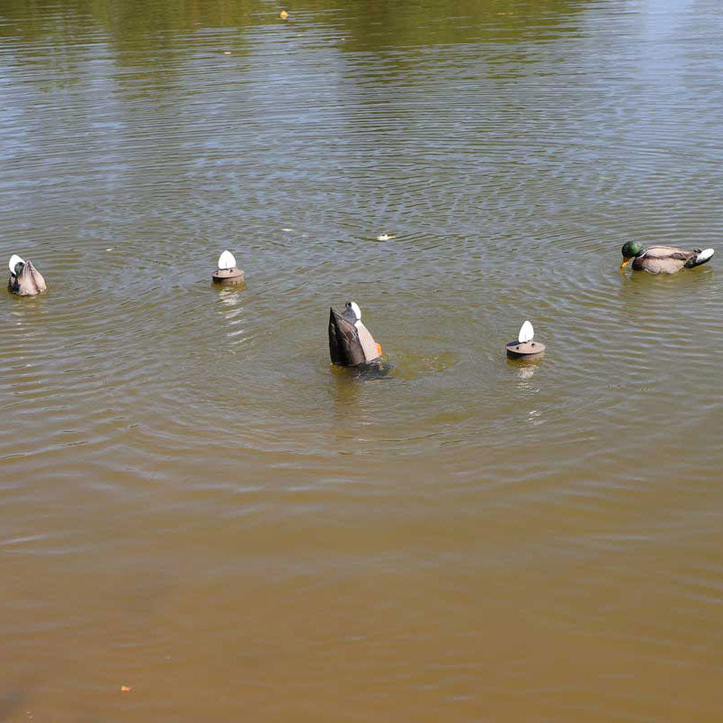 MOJO Mallard Machine UN3481 Hochwertiger Entenlocker für die erfolgreiche Lockjagd