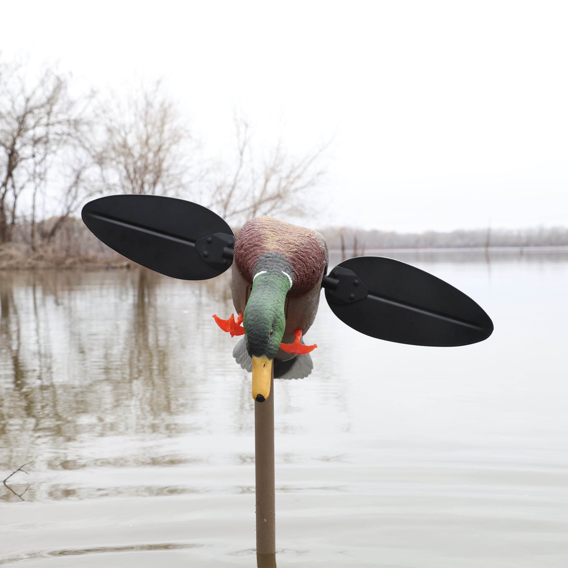 MOJO Mallard Lite Realistische Lockente mit Rotierenden Magnetischen Flügeln