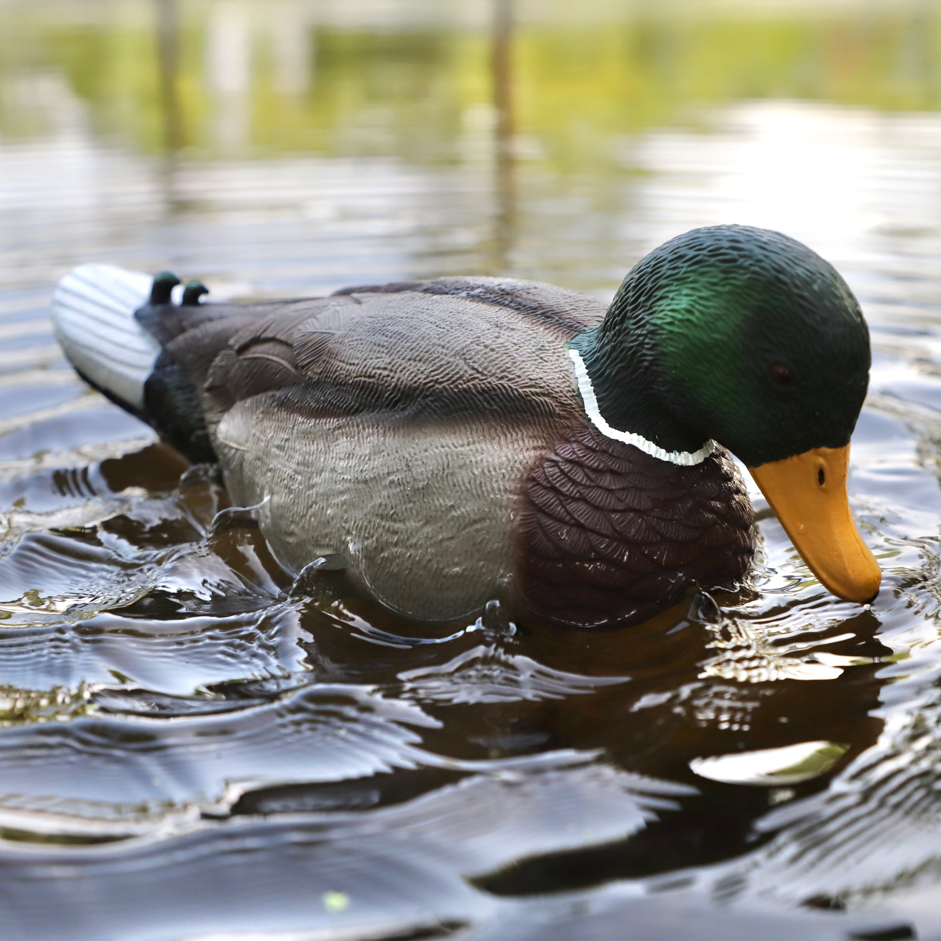 MOJO Rippler 2 Beweglicher Entenlocker für Realistische Wellen und Lockwirkung