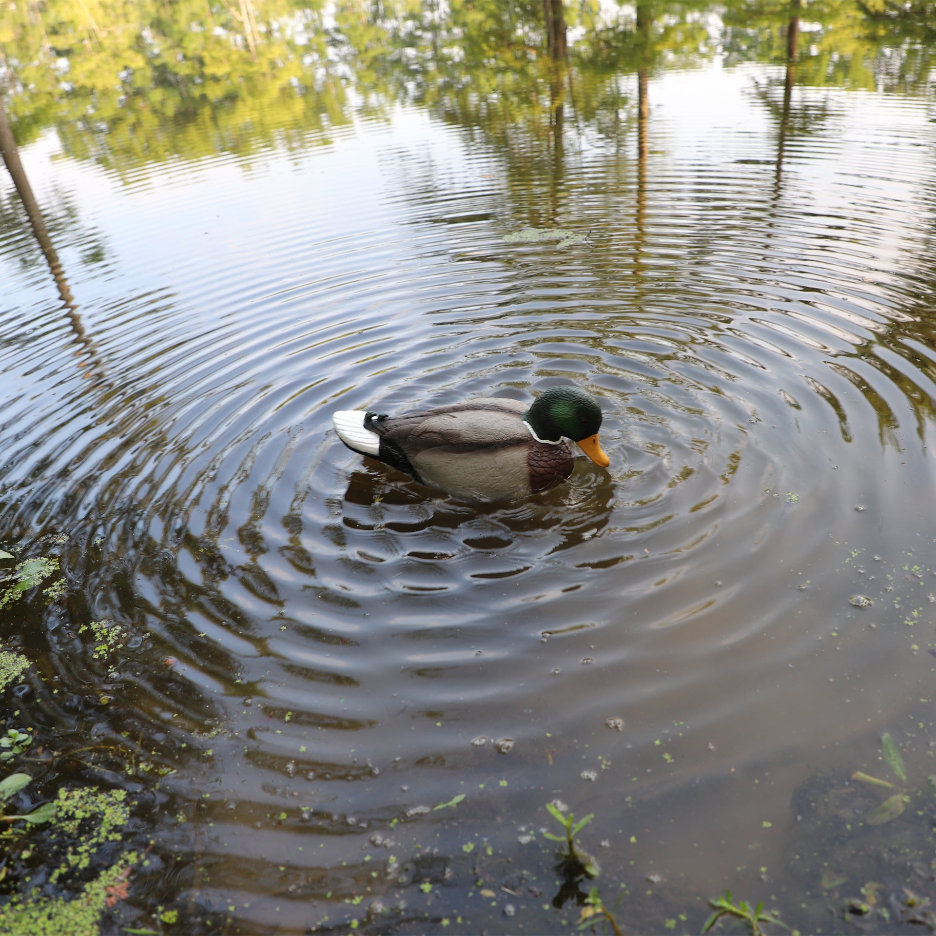 MOJO Rippler 2 Beweglicher Entenlocker für Realistische Wellen und Lockwirkung