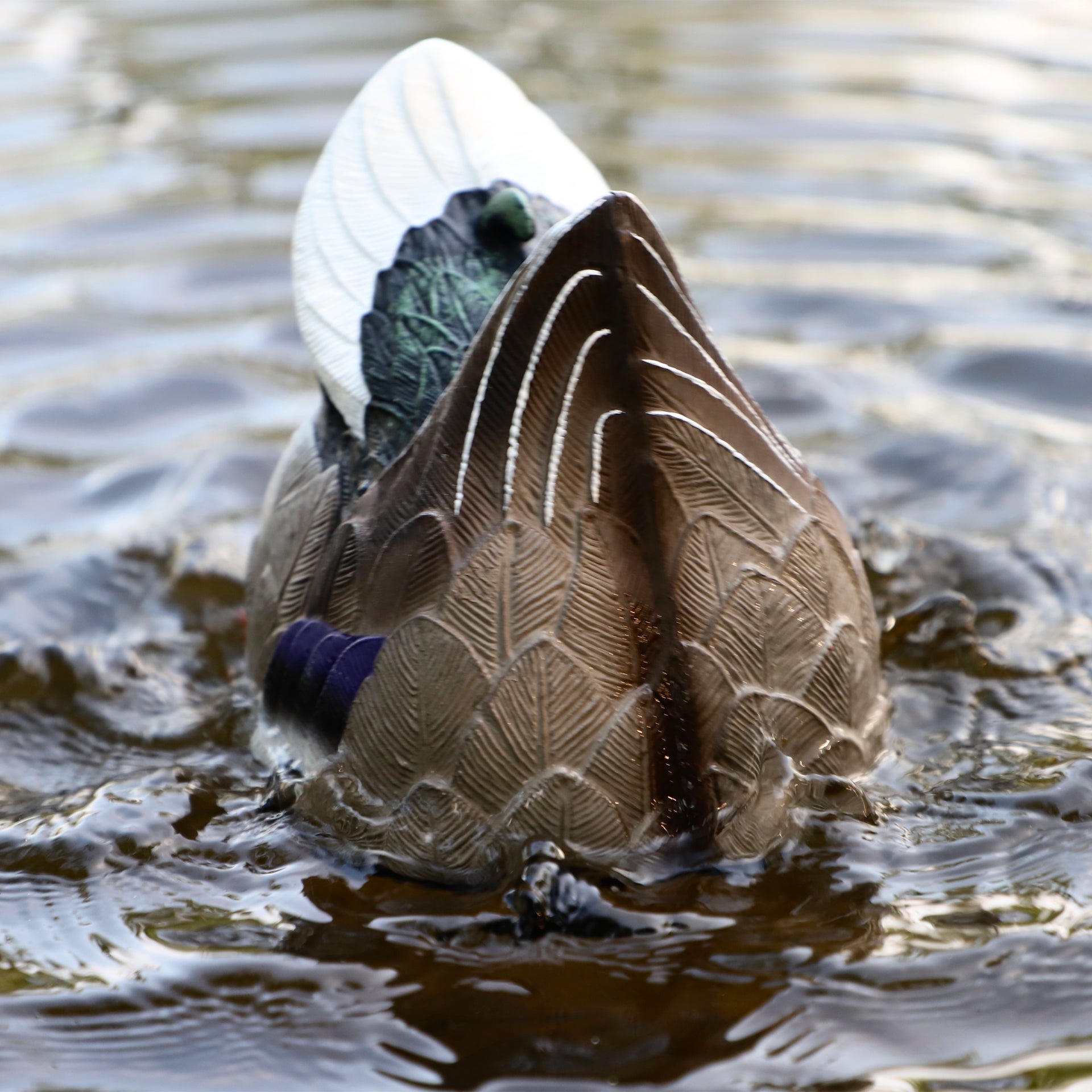 MOJO Butt-Up Rippler 2 Schwimmender Entenlocker für Realistische Wellenbewegung