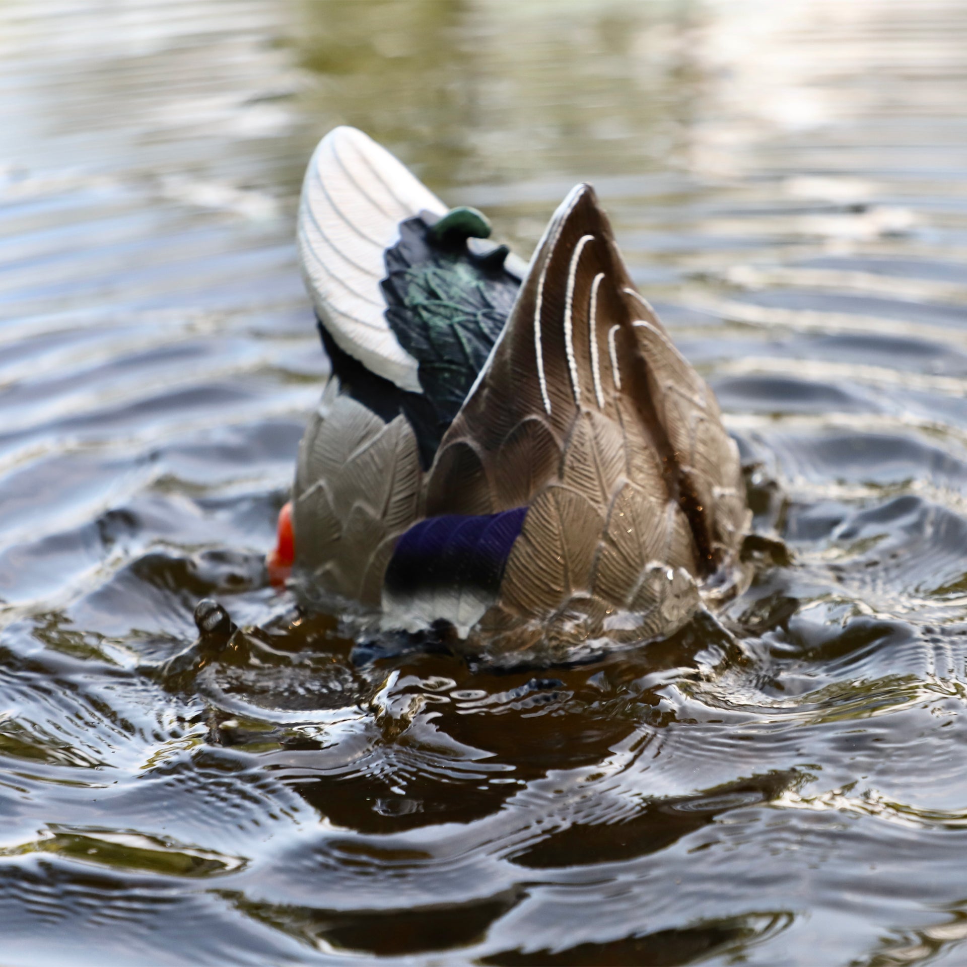 MOJO Butt-Up Rippler 2 Schwimmender Entenlocker für Realistische Wellenbewegung