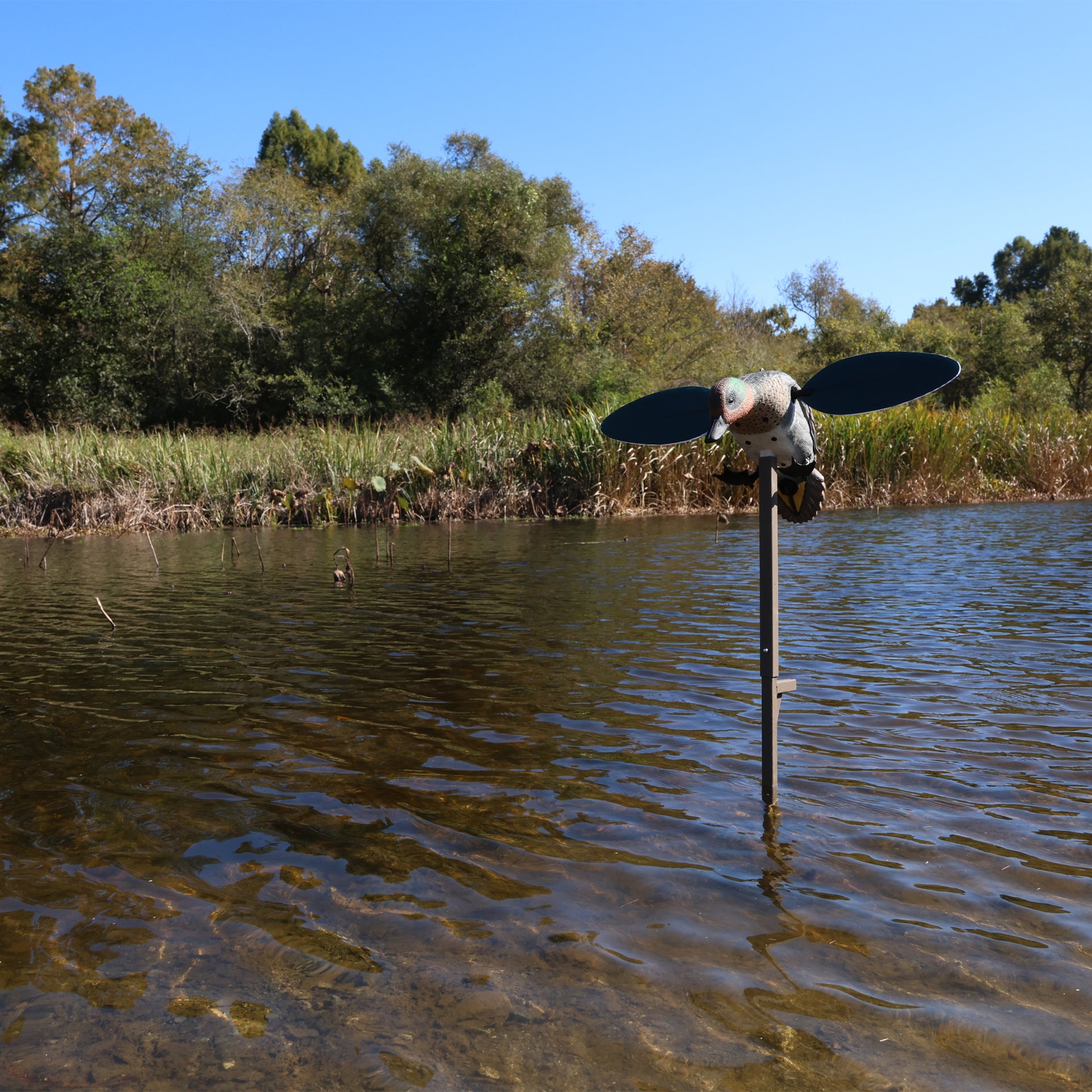 MOJO Green Wing Teal Krickente Lockvogel mit rotierenden Flügeln