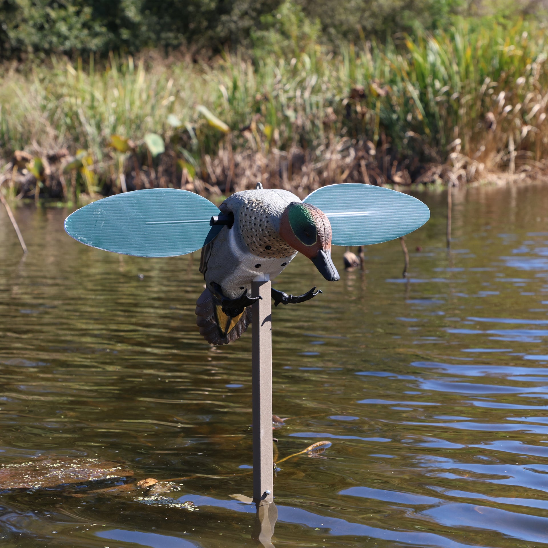 MOJO Green Wing Teal Krickente Lockvogel mit rotierenden Flügeln