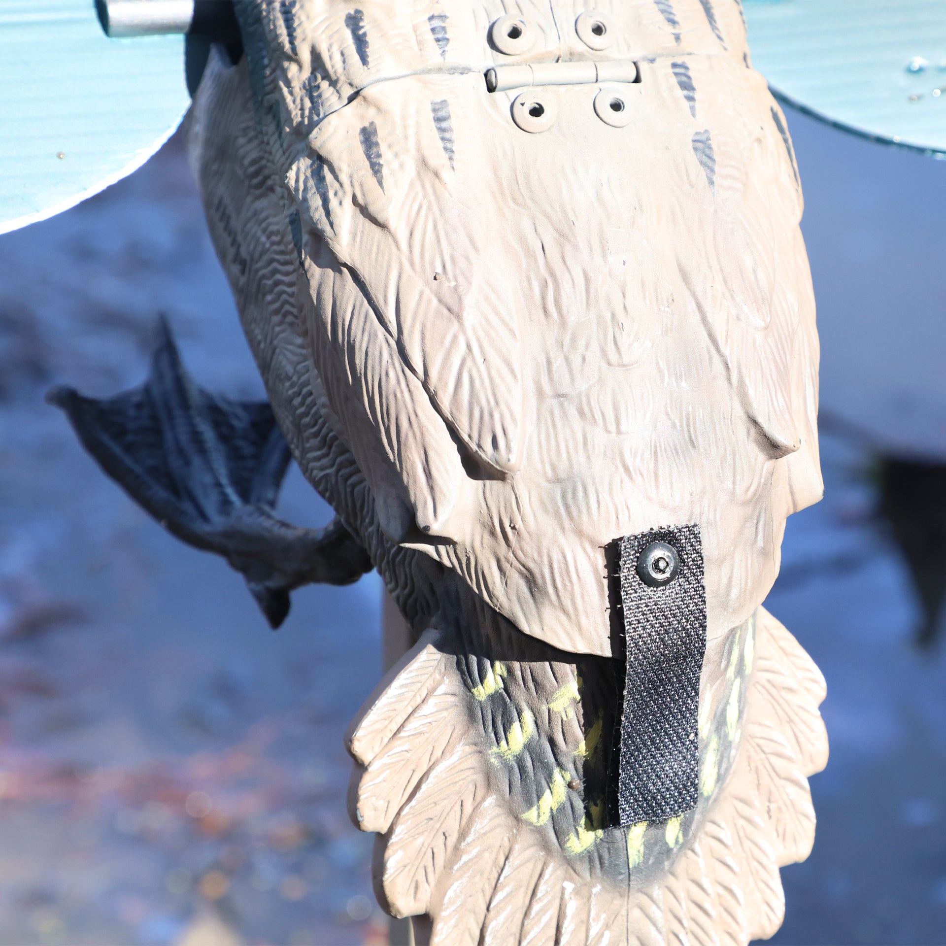 MOJO Green Wing Teal Krickente Lockvogel mit rotierenden Flügeln