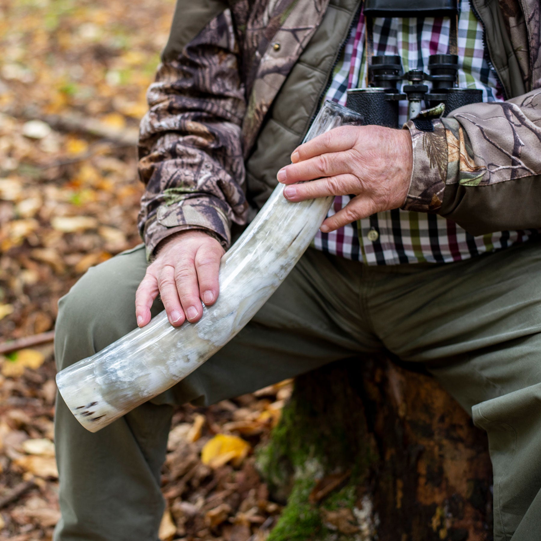 Weisskirchen Ochsenhorn 40cm Hirschruf Natürliches Lockinstrument für die Hirschjagd