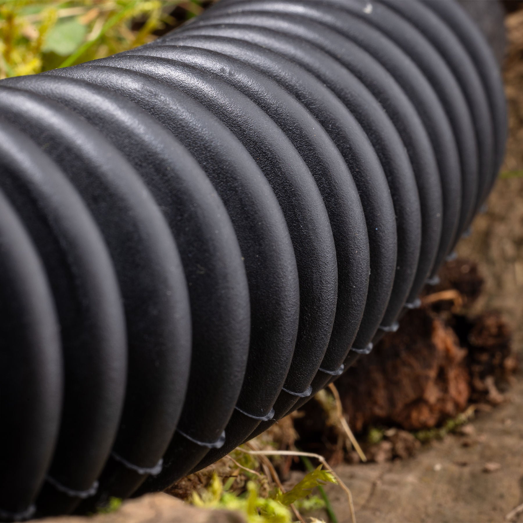 Weisskirchen Entenlocker mit Holz-Klangkörper und Gummibalg für die Entenjagd