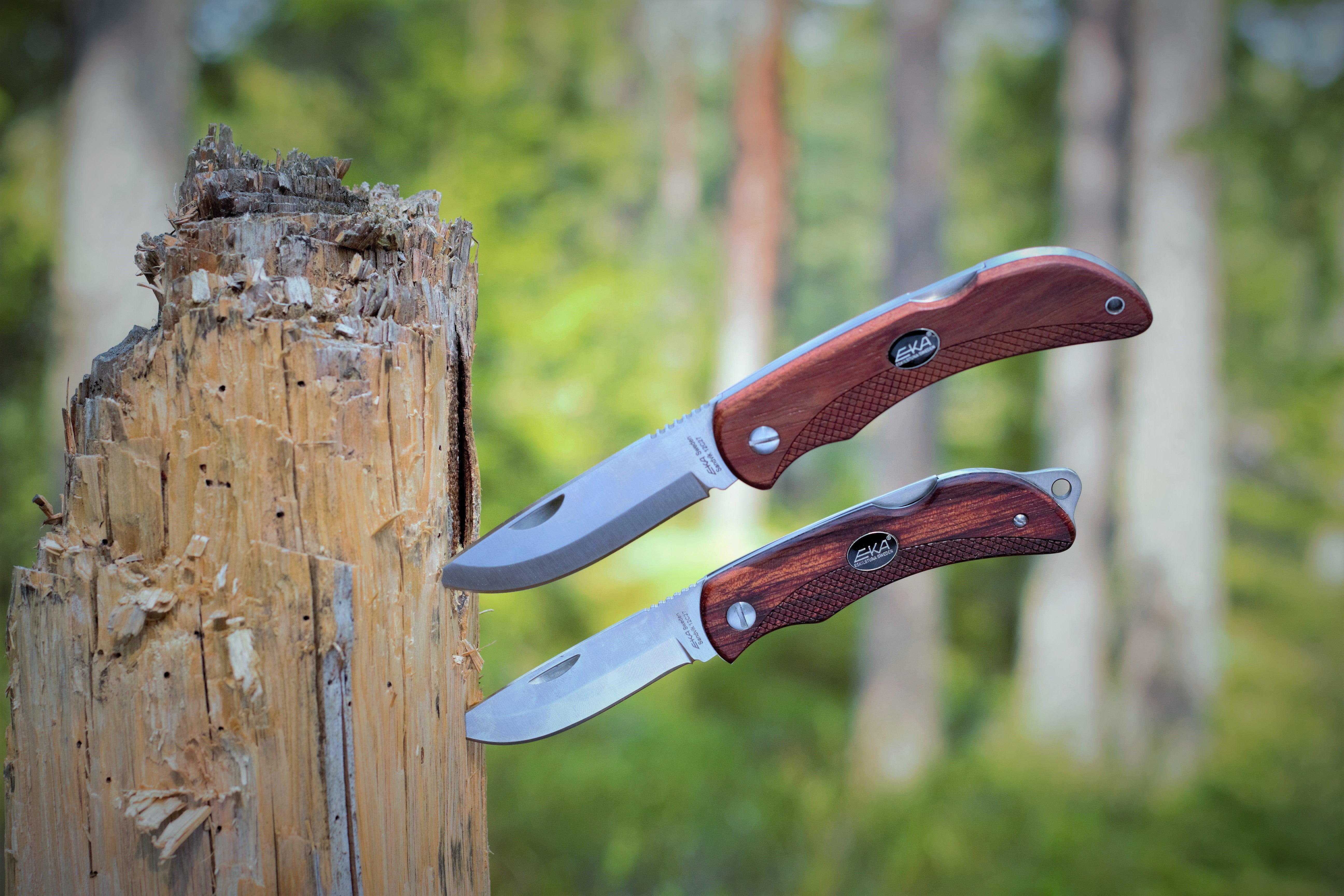 EKA Swede 8 Wood Klappmesser mit robustem Bubingaholz Griff und Lederscheide