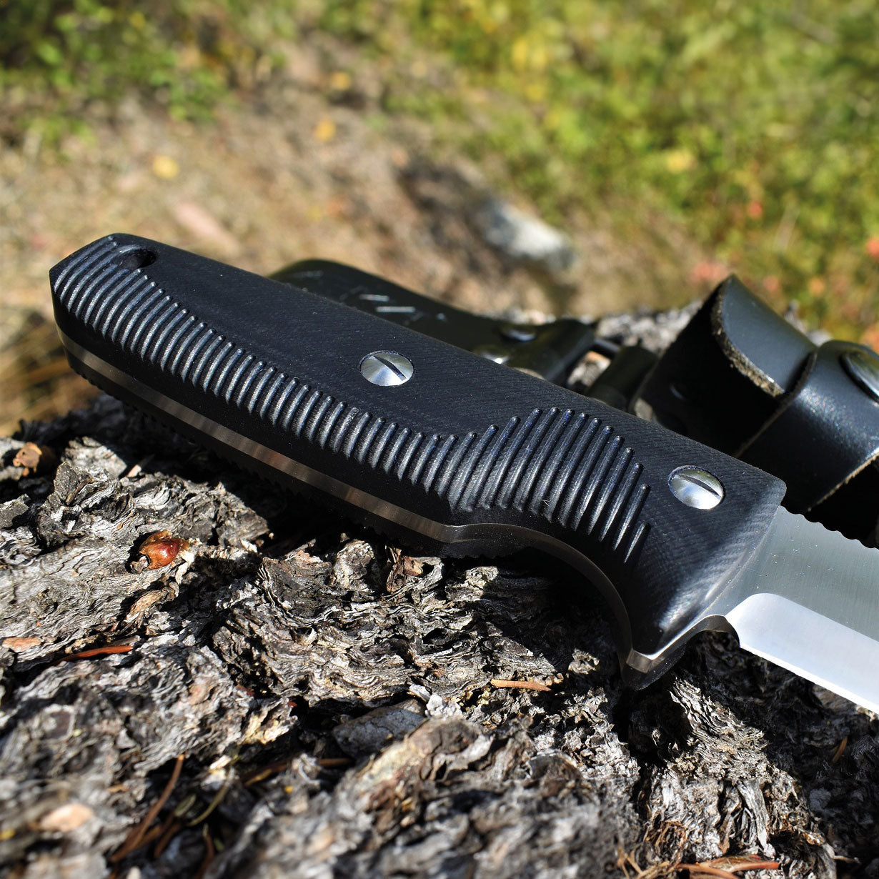 EKA Nordic W12 Black Profi-Jagdmesser mit Lederscheide und Glasbrecher