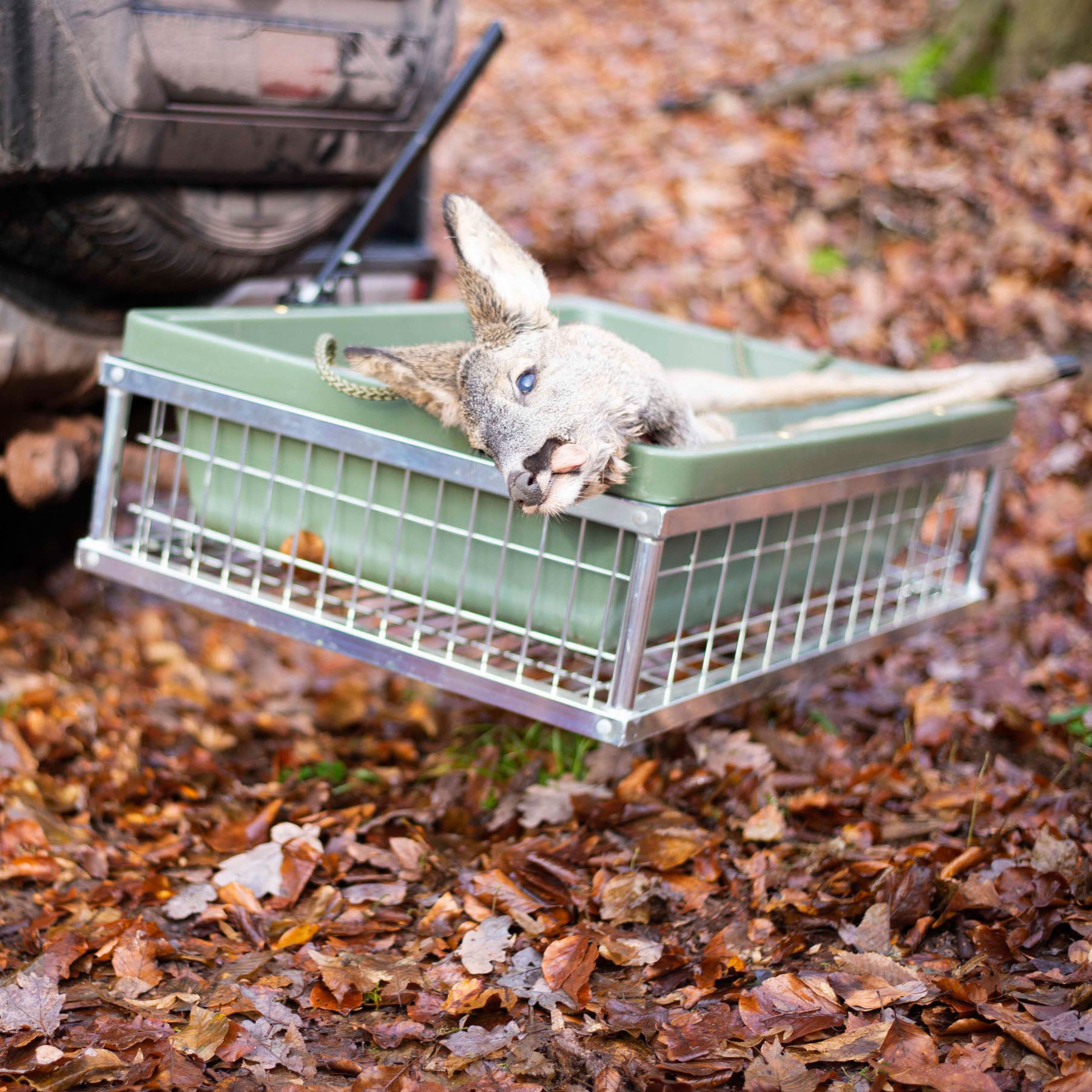 Eurohunt Verzinkter Wild-Heckträger mit Schnellkupplung für die Anhängerkupplung