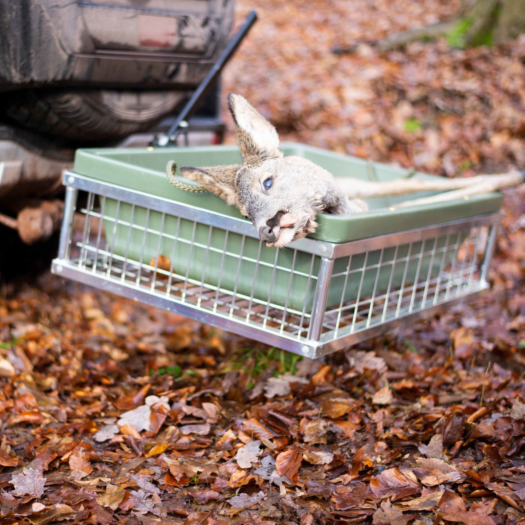Eurohunt Heckträger mit abklappbarer Schnellkupplung für Anhängerkupplung verzinkt