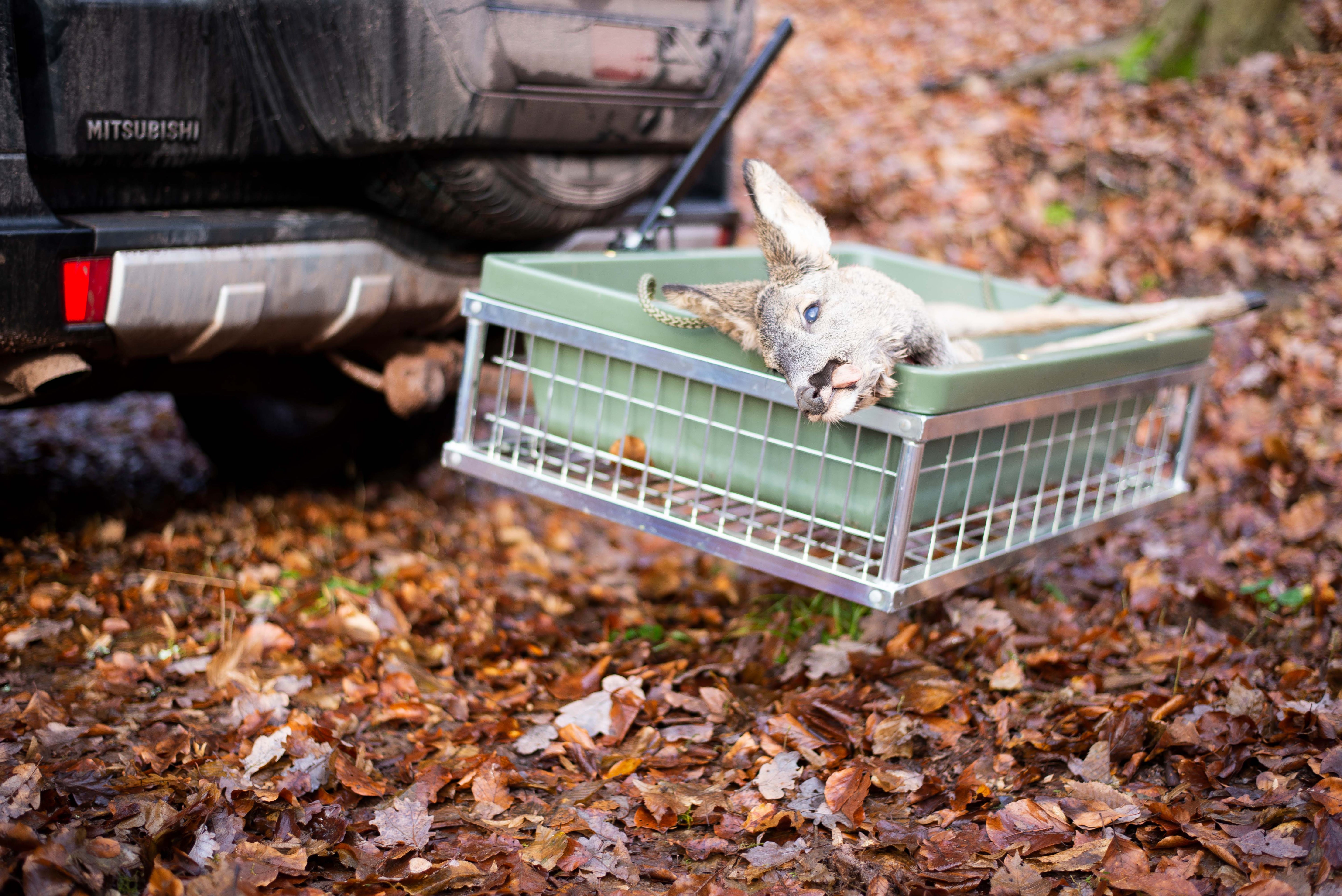 Robuste EUROHUNT Forstwanne Wildwanne mit Schlittenbug Orange 90cm