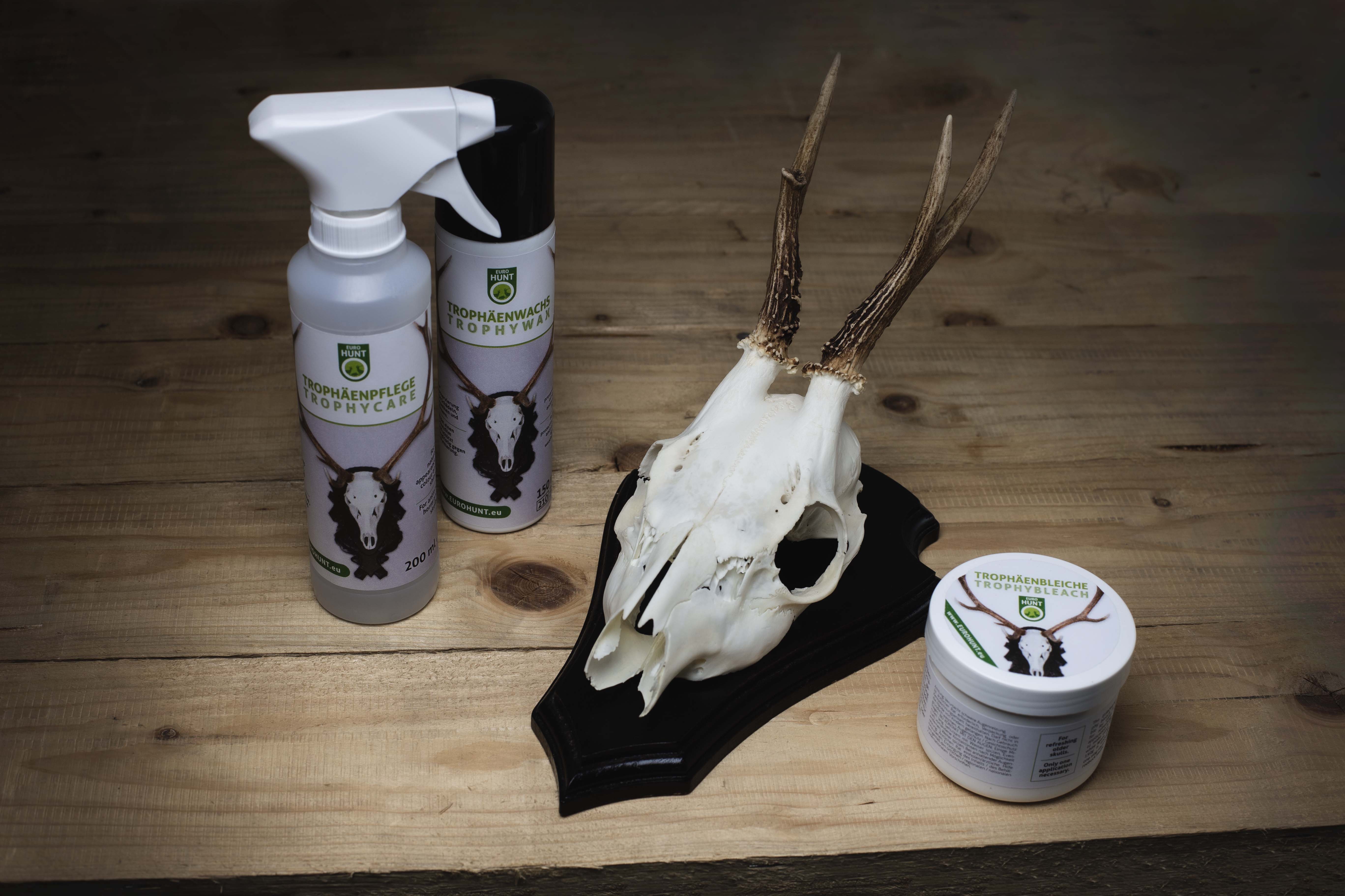 EUROHUNT Trophäenwachs 150ml zur Konservierung und Pflege edler Jagdtrophäen