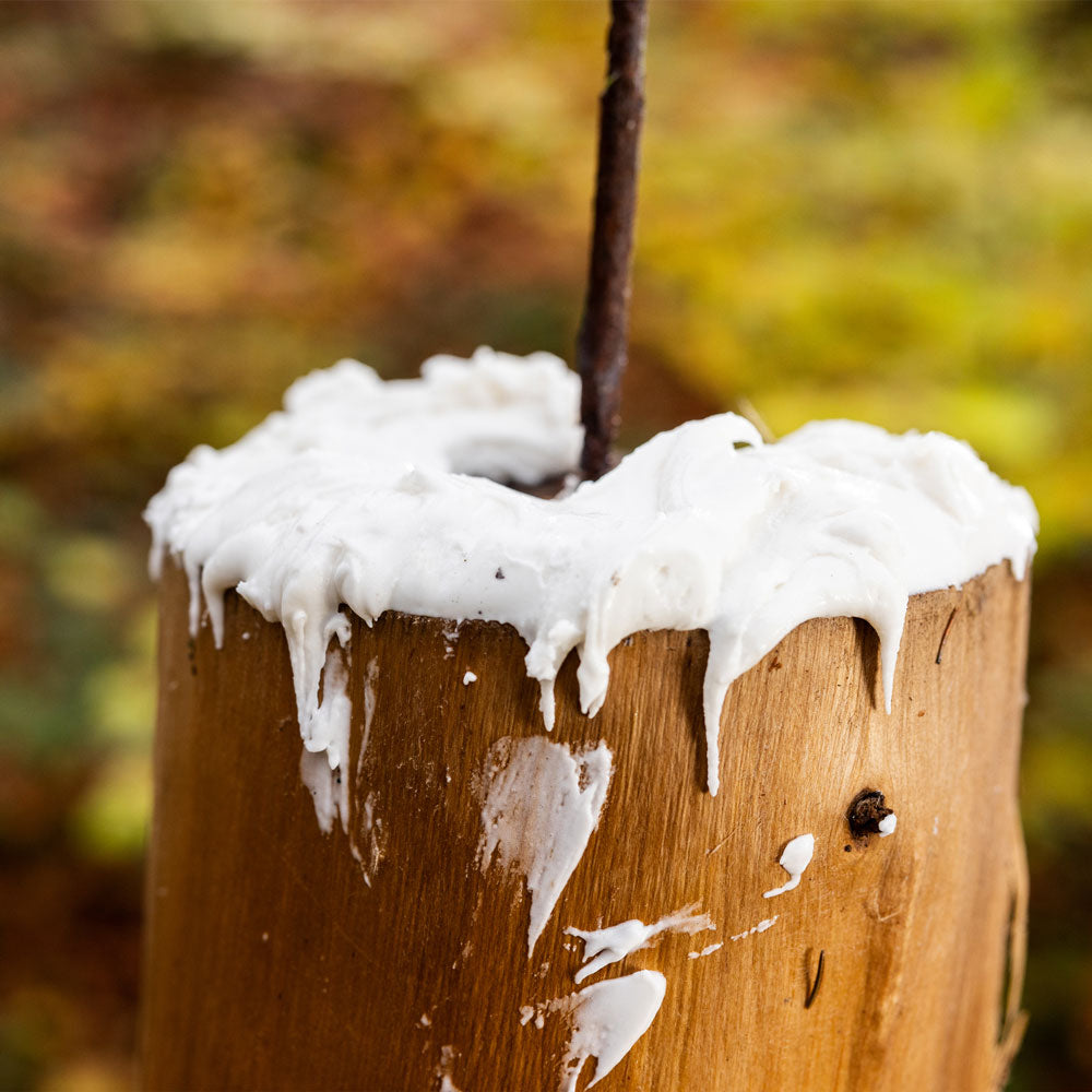 EUROHUNT Salzpaste Trüffel 2kg Eimer Mineralfutter für das Wildrevier