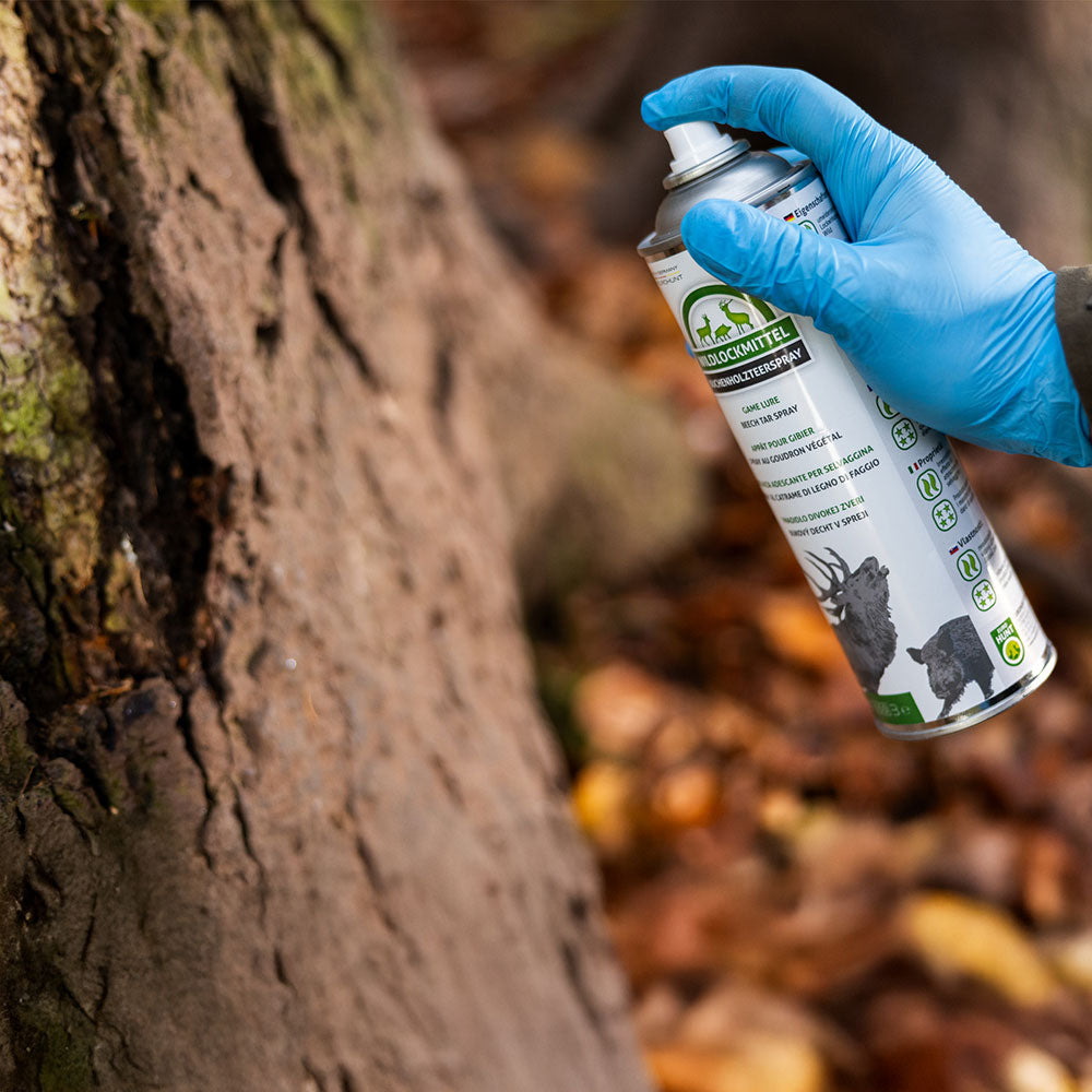 Eurohunt Buchenholzteer 500ml Spraydose Lockmittel für Schwarzwild und Rotwild