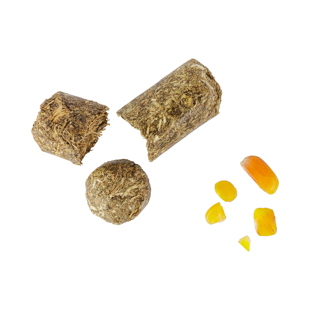 Eurohunt Wildlockmittel PREMIUM Spezial Schwarzwild 750g hocheffektives Lockfutter Jagd