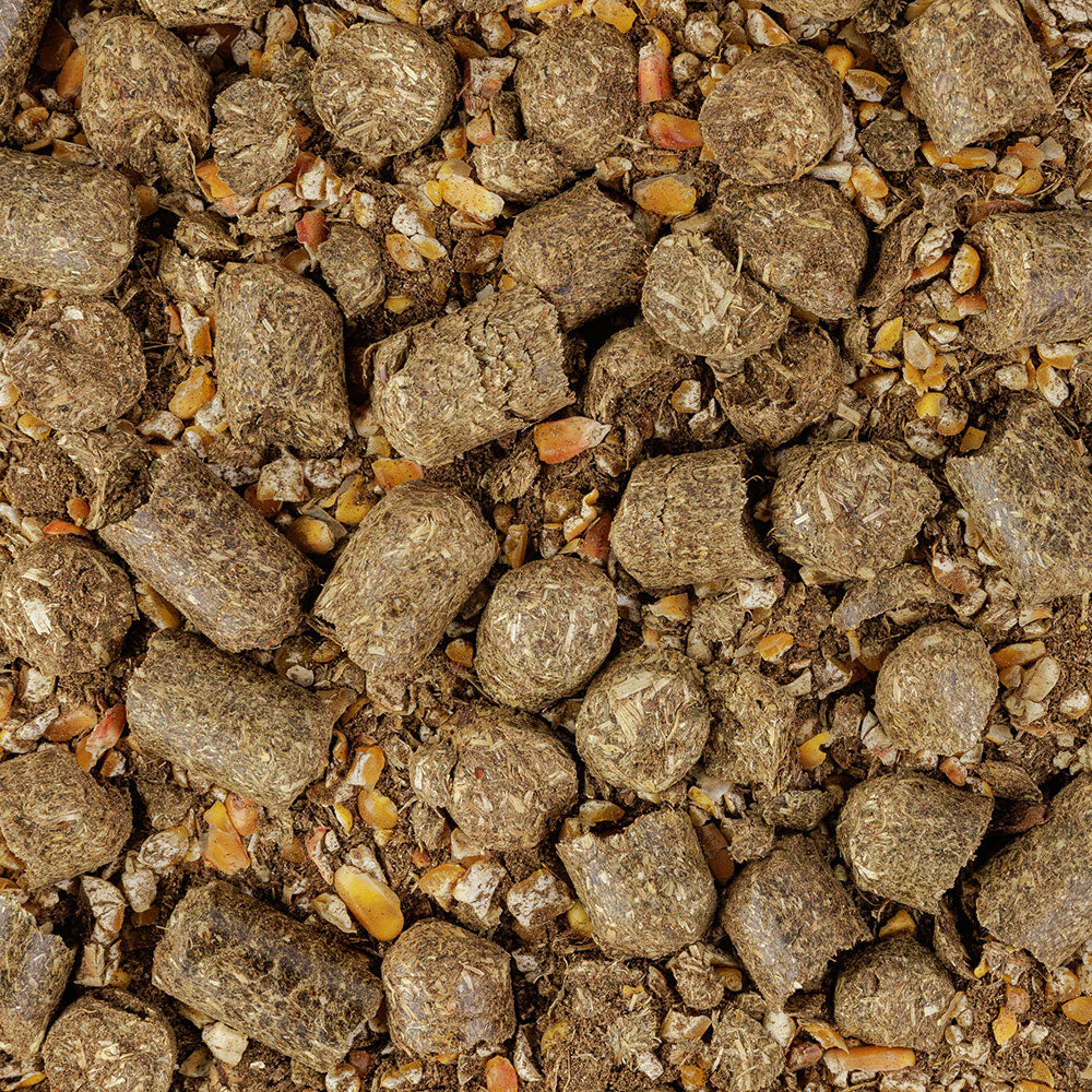 Eurohunt Wildlockmittel PREMIUM Spezial Schwarzwild 750g hocheffektives Lockfutter Jagd