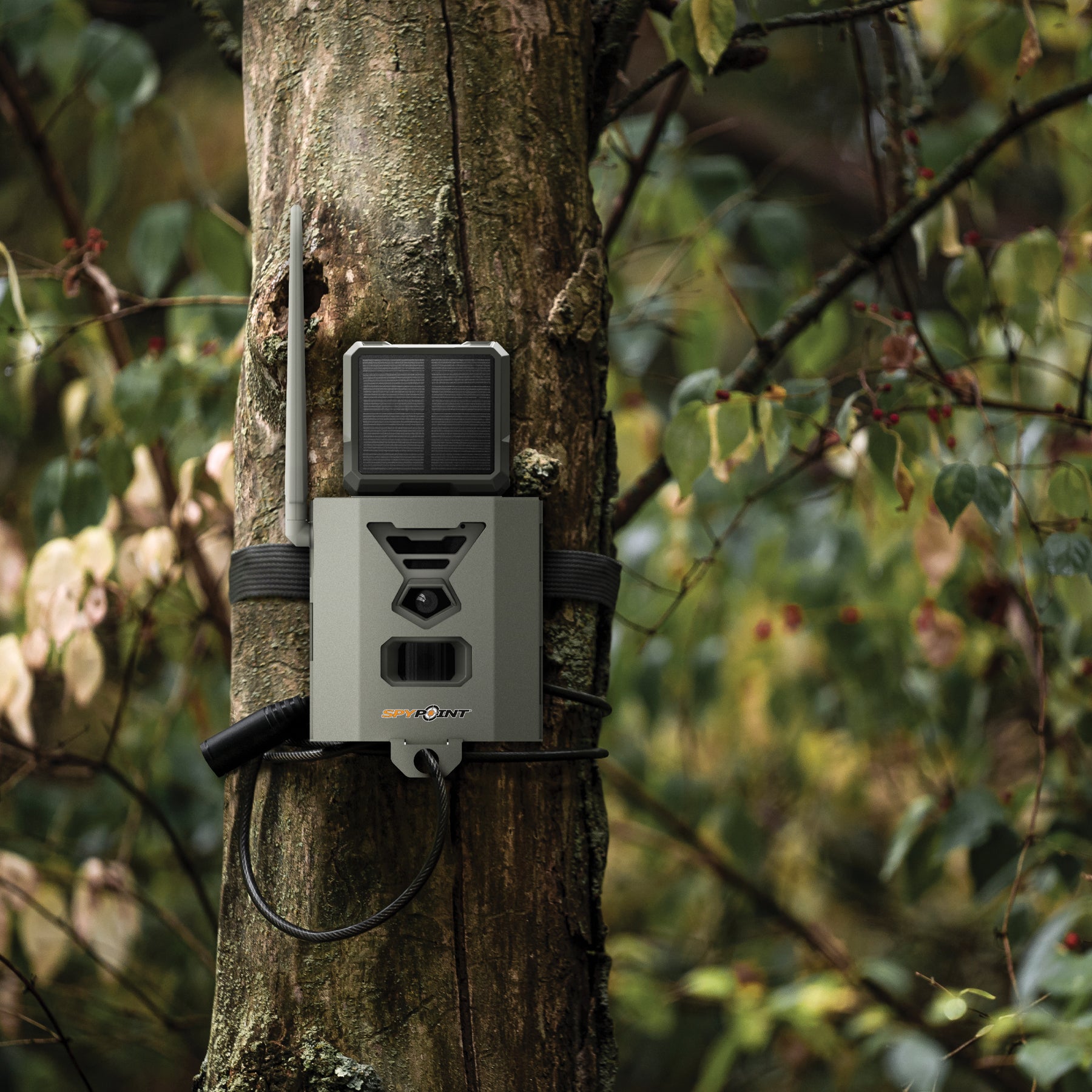 SPYPOINT SB-500S Metallgehäuse für FLEX Wildkameras Robuster Stahlschutz