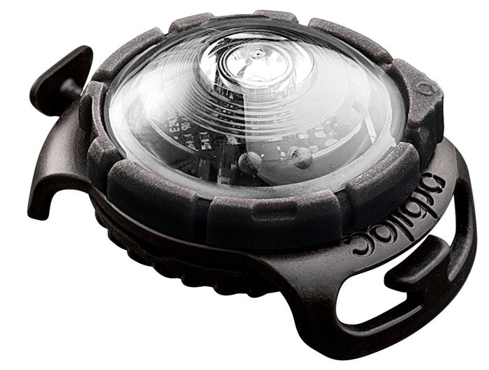 Orbiloc Dog Dual Light: Ultra-Sichtbares, Robustes LED-Sicherheitslicht für Hunde & Outdoor