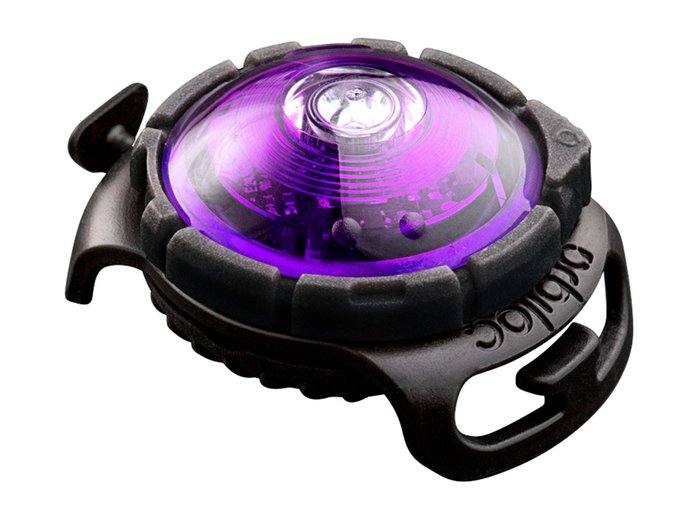 Orbiloc Dog Dual Light: Ultra-Sichtbares, Robustes LED-Sicherheitslicht für Hunde & Outdoor