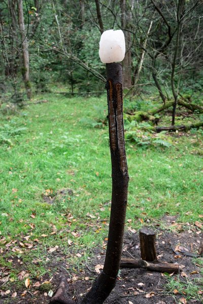 Nordforest Hunting Buchenholzteer: Starkes Wildlockmittel mit Pinsel für Rot- und Schwarzwild