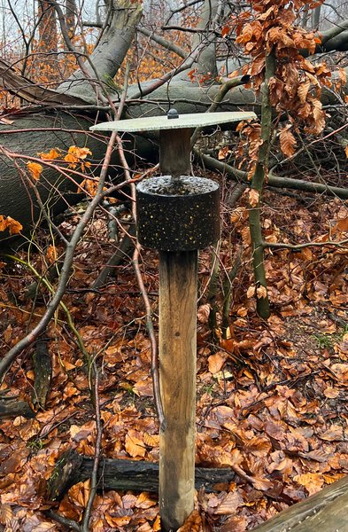 Wildlutscher Spezial-Leckstein Dunkelmais: Unwiderstehliche Anziehung für Schalen-, Raub- & Schwarzwild