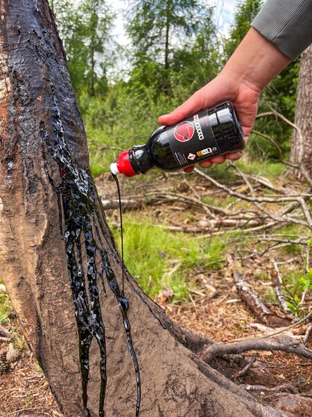 Black Fire Buchenholzteer Tar 6er-Pack: Effektiver, langanhaltender Wildschwein-Lockstoff für Jagderfolg