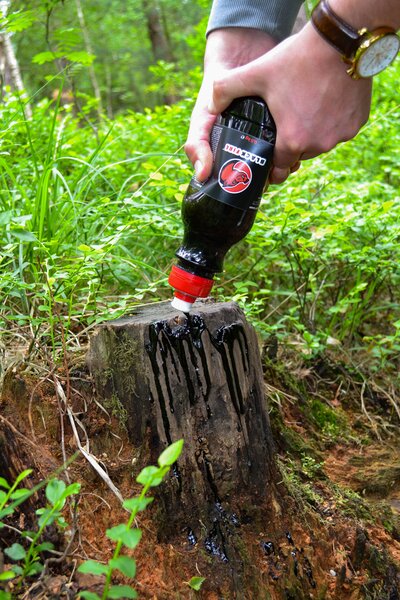 Black Fire Buchenholzteer Tar 6er-Pack: Effektiver, langanhaltender Wildschwein-Lockstoff für Jagderfolg