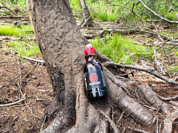 Black Fire Buchenholzteer Tar 6er-Pack: Effektiver, langanhaltender Wildschwein-Lockstoff für Jagderfolg