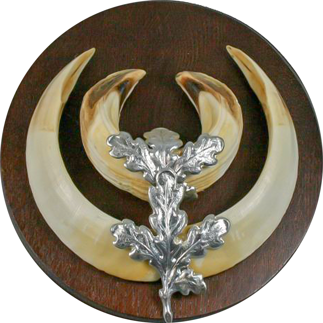 EUROHUNT Eichenlaub für Keilerwaffen Silber 10er Pack Trophäenschmuck