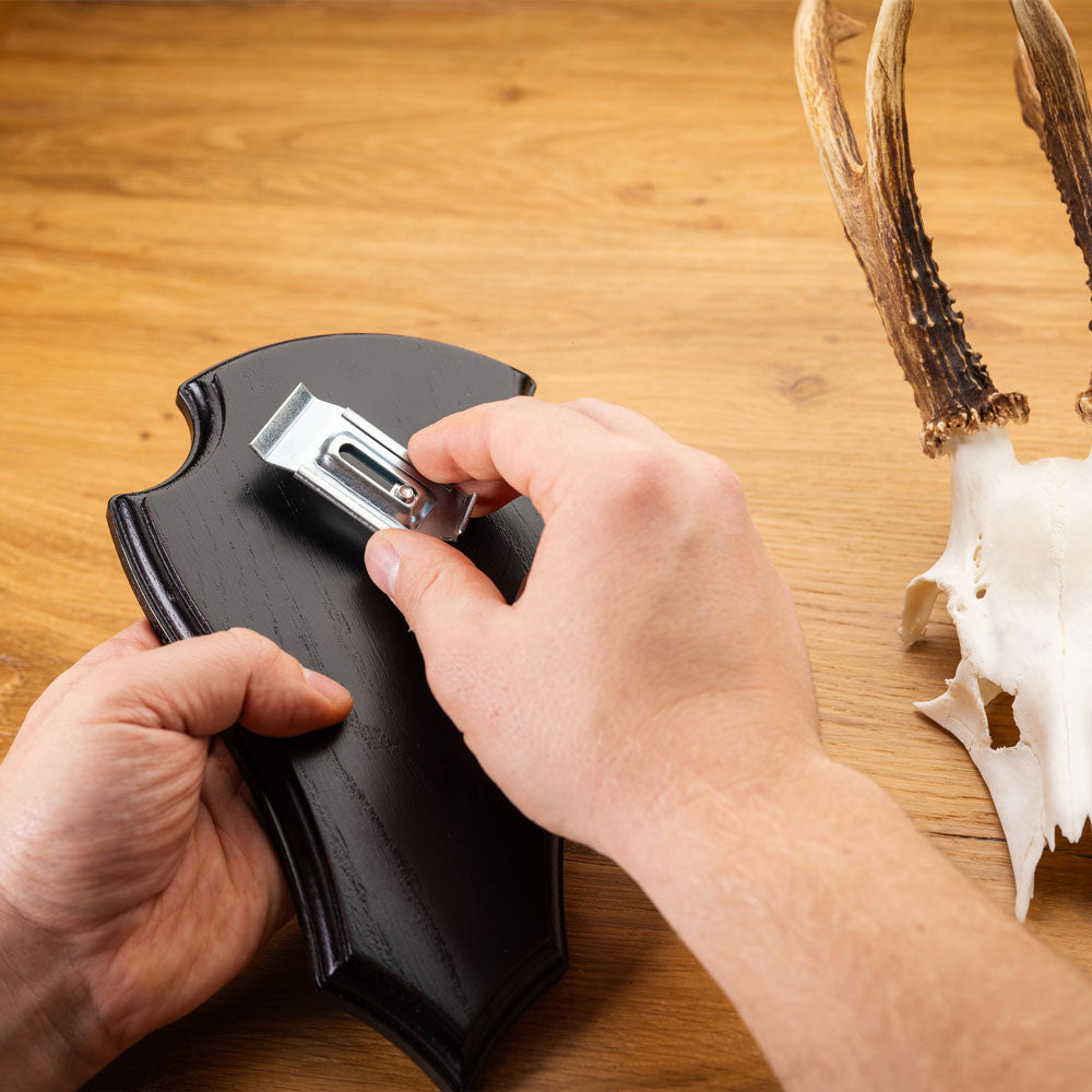 EUROHUNT Metall Gehörnklammern für Rehwild Trophäenmontage Set 5 Stück