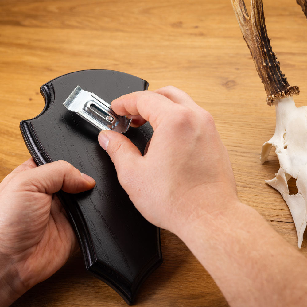 EUROHUNT Metall Gehörnklammern für Rehwild Trophäenmontage Set 5 Stück