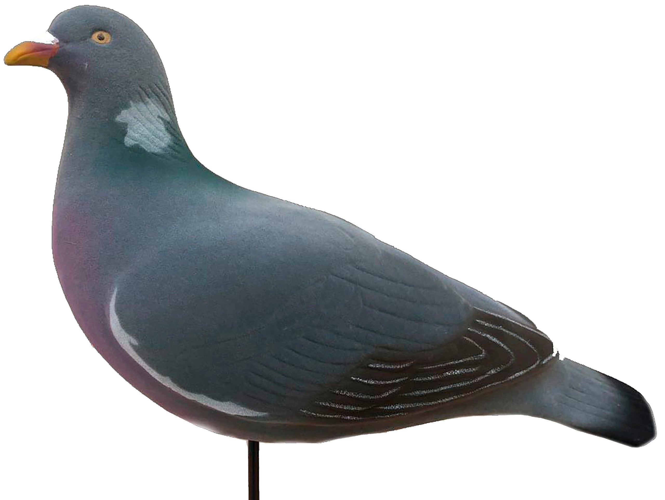 Final Approach Last Pass Tauben Lockvogel Set - Realistische Beflockte XL Attrappen