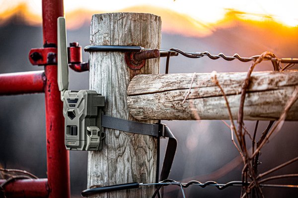 Spypoint Wildkamera Flex-M