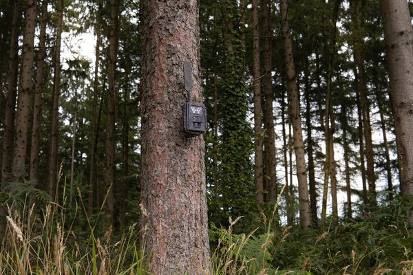 Seissiger Wildkamera Special-Cam LTE Weißblitz Supersim-Edition