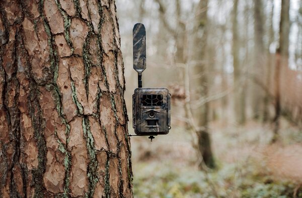 Seissiger Wildkamera Pro-Cam LTE Supersim-Edition