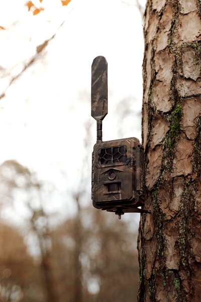 Seissiger Wildkamera Pro-Cam LTE Supersim-Edition