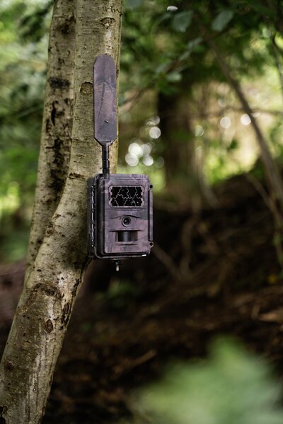 Seissiger Wildkamera Base-Cam LTE Supersim-Edition