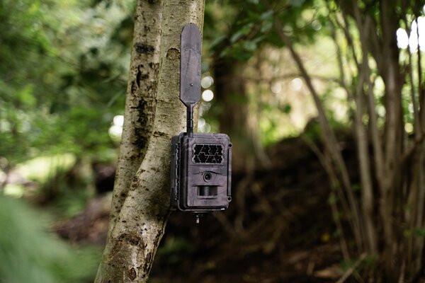 Seissiger Wildkamera Base-Cam LTE Supersim-Edition