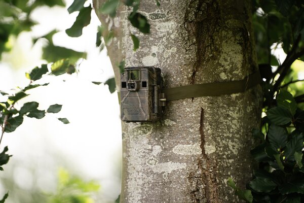 Seissiger Wildkamera Mini-Cam