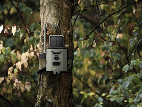 Robustes Spypoint SB-500S Metallgehäuse für Flex-Wildkameras: Ultimativer Schutz vor Diebstahl & Wetter