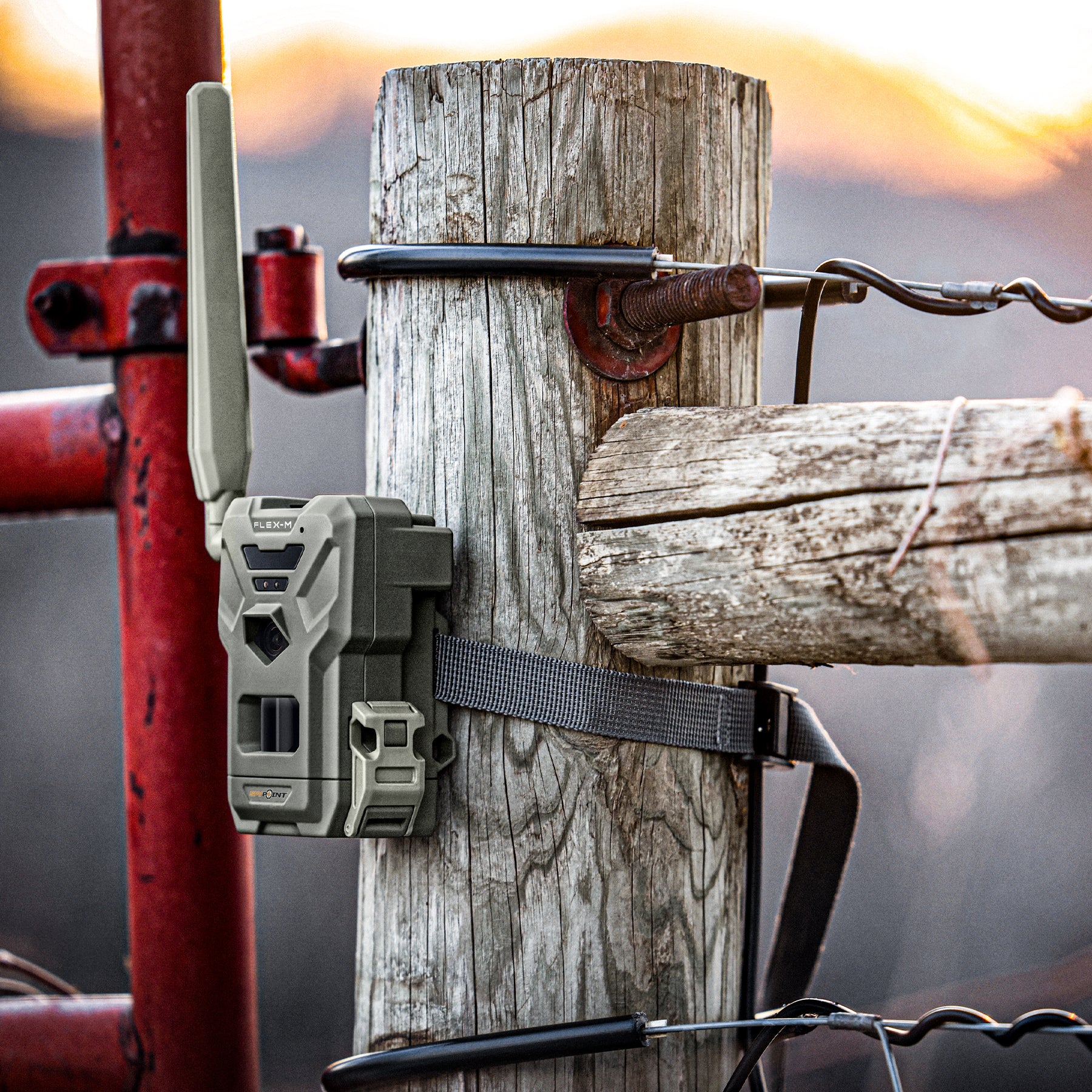 SPYPOINT FLEX-M 4er Set LTE Wildkamera 28MP Revierüberwachung Set Jagd